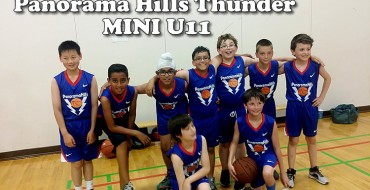 2015 basketball SPRING LEAGUE – MINI boys  U11