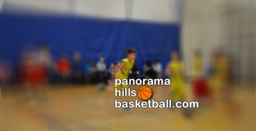 Basketball for kids in Panorama Hills NW