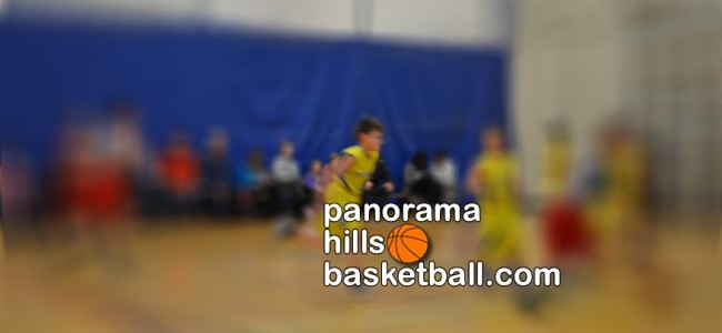 Basketball for kids in Panorama Hills NW