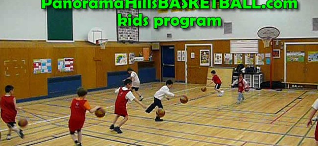 Basketball for younger kids: tykes, mini boys, girls