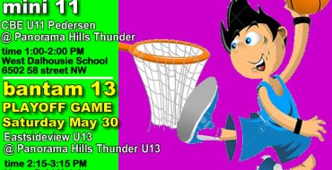 The Last Game of 2015 SPRING LEAGUE * MINI 11 The Last Game of 2015 SPRING LEAGUE * MINI 11