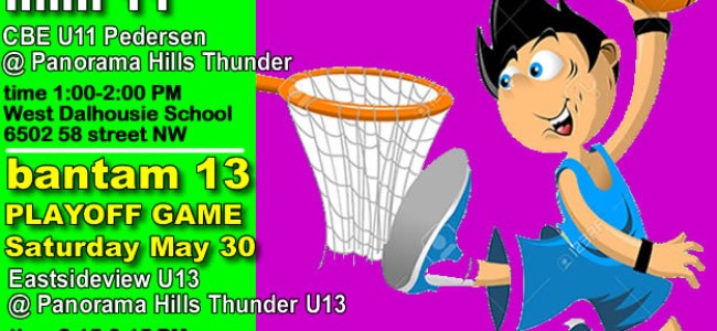 The Last Game of 2015 SPRING LEAGUE * MINI 11 The Last Game of 2015 SPRING LEAGUE * MINI 11