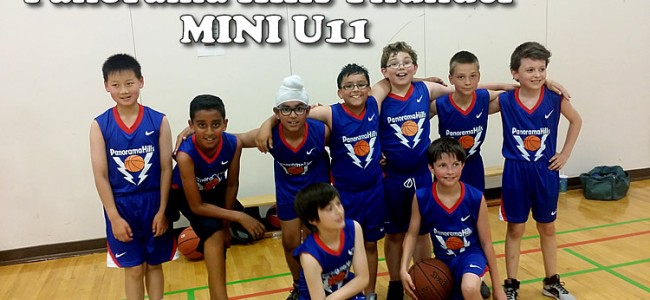 2015 basketball SPRING LEAGUE – MINI boys  U11 2015 basketball SPRING LEAGUE – MINI boys  U11