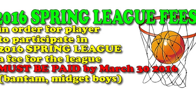 2016 SPRING LEAGUE update