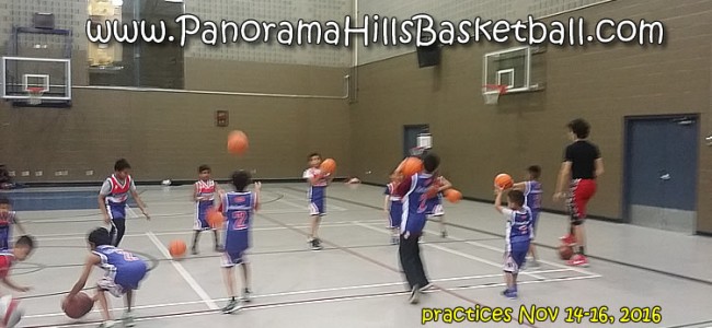 Panorama Hills Basketball Practice Nov 14-16