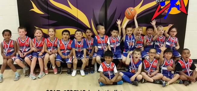 2017 SPRING basketball tournament – tiny stars 2017 SPRING basketball tournament – tiny stars