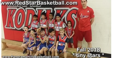 2018 Fall program – “FINAL day” – TINY STARS 2018 Fall program – “FINAL day” – TINY STARS