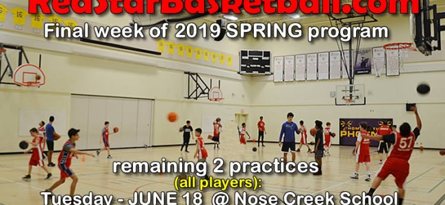 Last week of 2019 SPRING  RED STAR basketball program Last week of 2019 SPRING  RED STAR basketball program