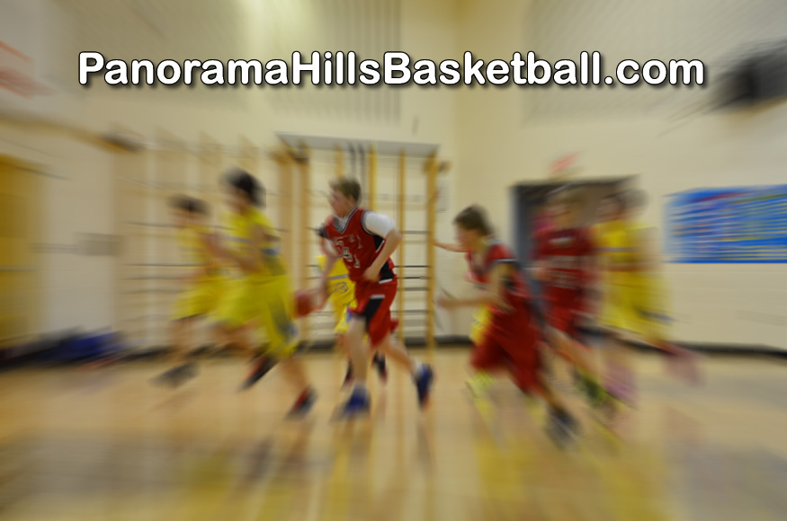 panorama-hills-basketball-for-kids