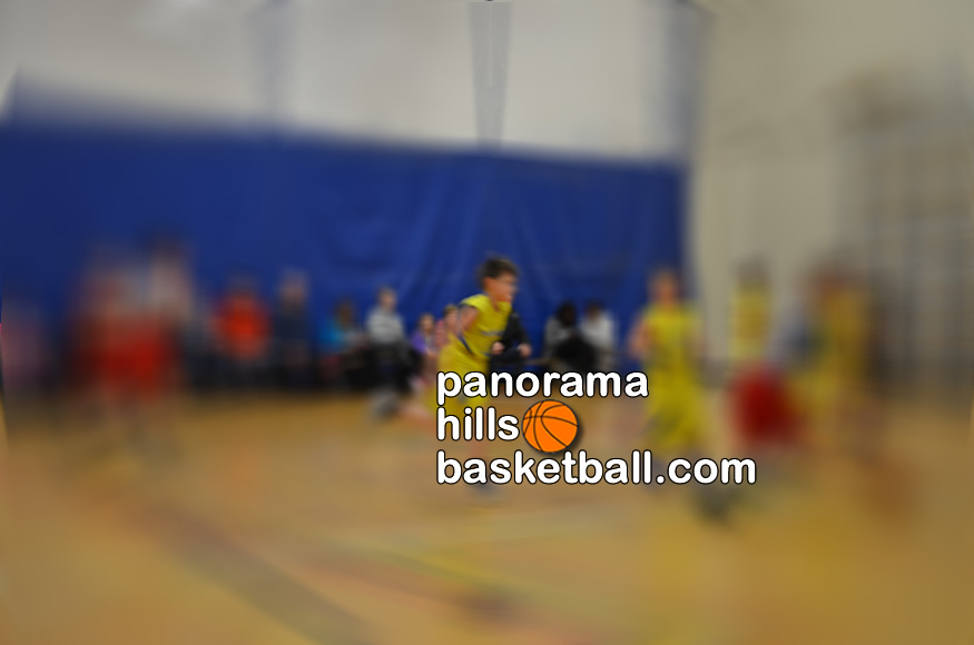 panorama-hills-basketball-school-tykes-mini-boys