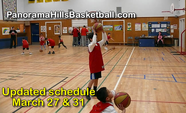 panorama-hills-basketball-for-children