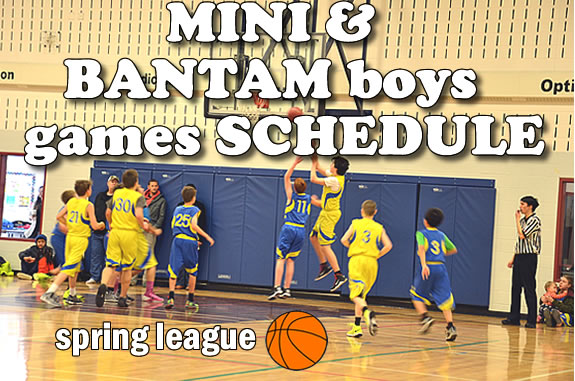 pring-league-basketball-games-schedule2