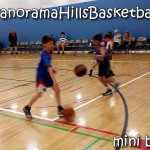 calgary spring league for kids, panorama hills basketball