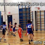 calgary basketball for kids, calgary spring league for kids