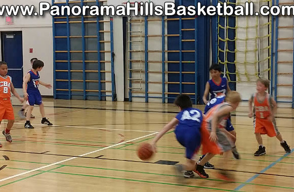 panorama-hills-basketball-mini-u11