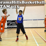 calgary spring league for kids, panorama hills basketball