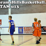 calgary spring league for kids, panorama hills basketball