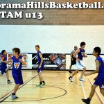 calgary spring league for kids, panorama hills basketball