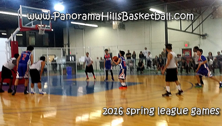 panorama hills stars spring league games