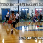 panorama hills stars spring league games