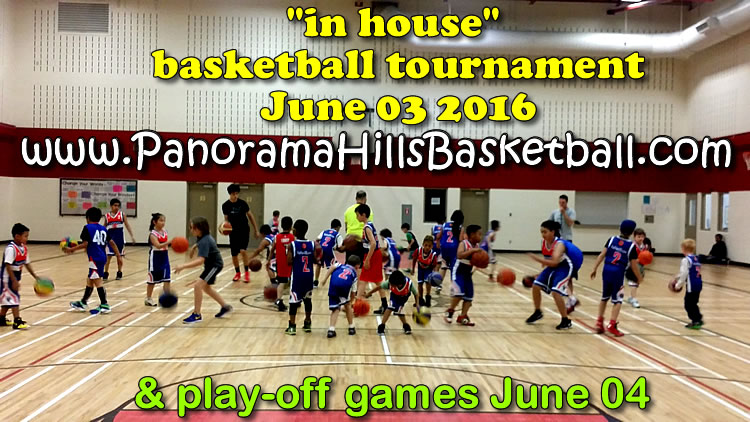 panorama-hills-basketball-tournament-for-kids