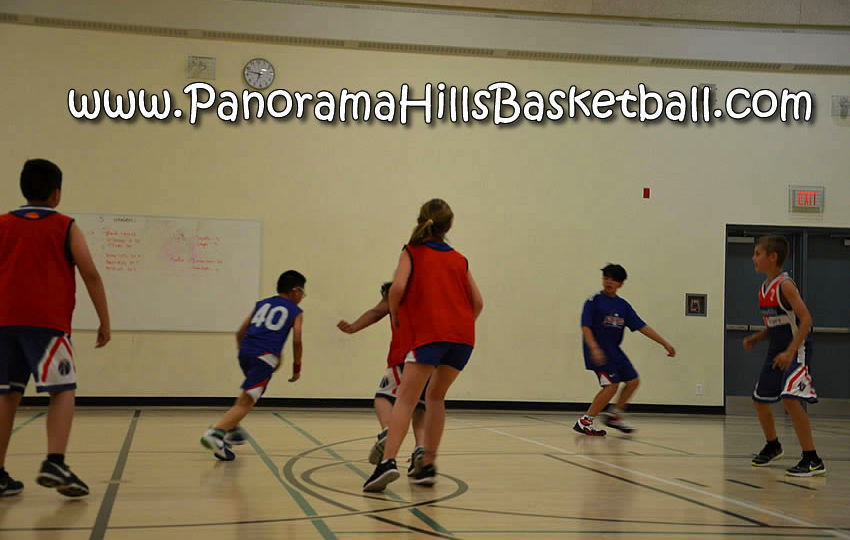 nw panorama hills basketball  for kids boys & girls
