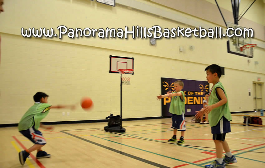 panorama-hills-basketball-for-kids