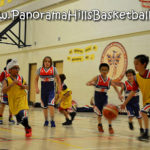 panorama-hills-basketball-for-kids