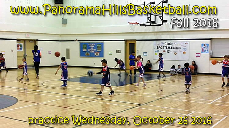 panorama-hills-basketball-for-kids-2016