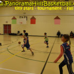 panorama hills basketball * tiny stars calgary basketball for kids nw