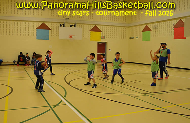 panorama hills basketball * tiny stars calgary basketball for kids nw