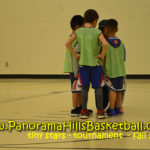 panorama hills basketball * tiny stars calgary basketball for kids nw