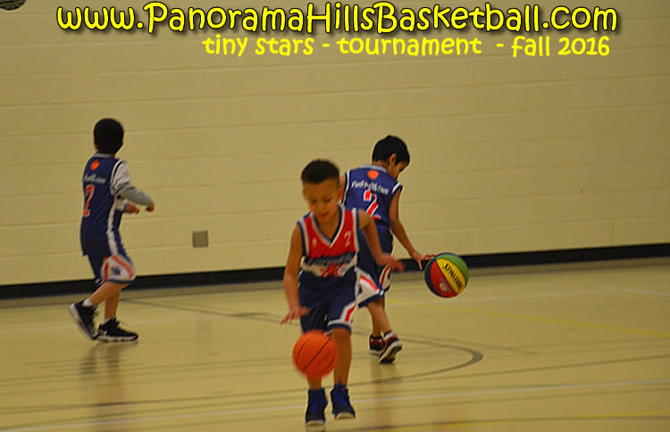 panorama hills basketball * tiny stars calgary basketball for kids nw