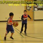 panorama hills basketball * tiny stars calgary basketball for kids nw