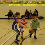 panorama hills basketball * tiny stars calgary basketball for kids nw