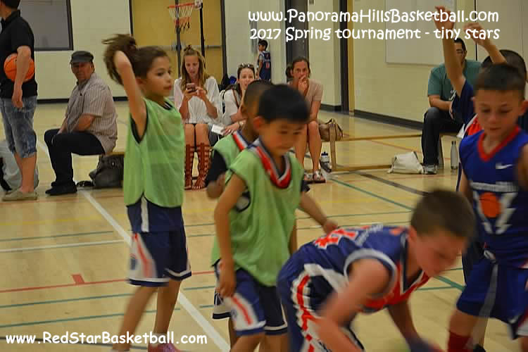 Panorama hills red star  basketball for kids, ljuba djordjevic basketball school