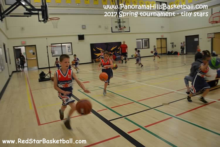 Panorama hills red star  basketball for kids