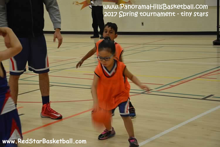 Panorama hills red star  basketball for kids, ljuba djordjevic basketball school